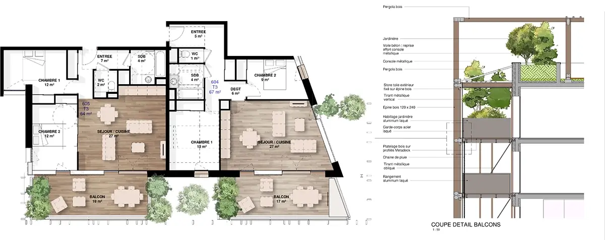 Detail plan de logement et coupe du Celeste